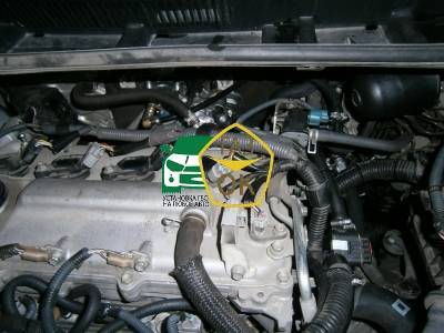 Установка ГБО на авто Toyota Corolla 1.6 газ на машину Gaz Ok Газ ОК Киев