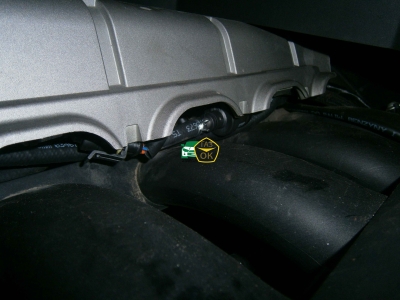 Установка ГБО на авто BMW 525 E60  газ на машину Gaz Ok Газ ОК Киев